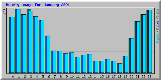 Hourly usage for January 2021