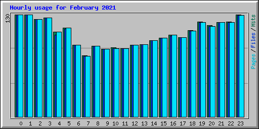 Hourly usage for February 2021