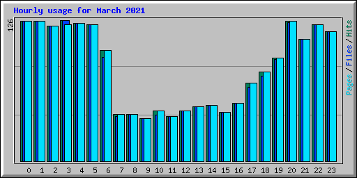 Hourly usage for March 2021
