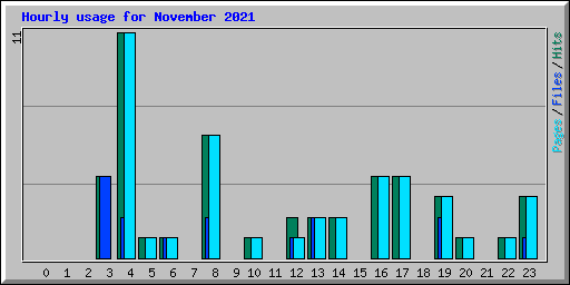 Hourly usage for November 2021