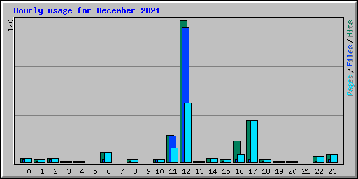 Hourly usage for December 2021
