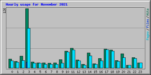 Hourly usage for November 2021