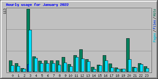 Hourly usage for January 2022