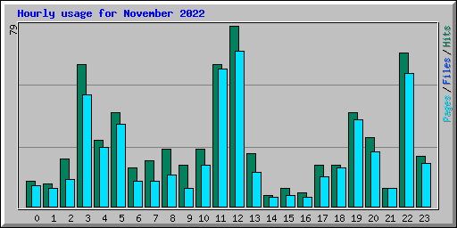 Hourly usage for November 2022